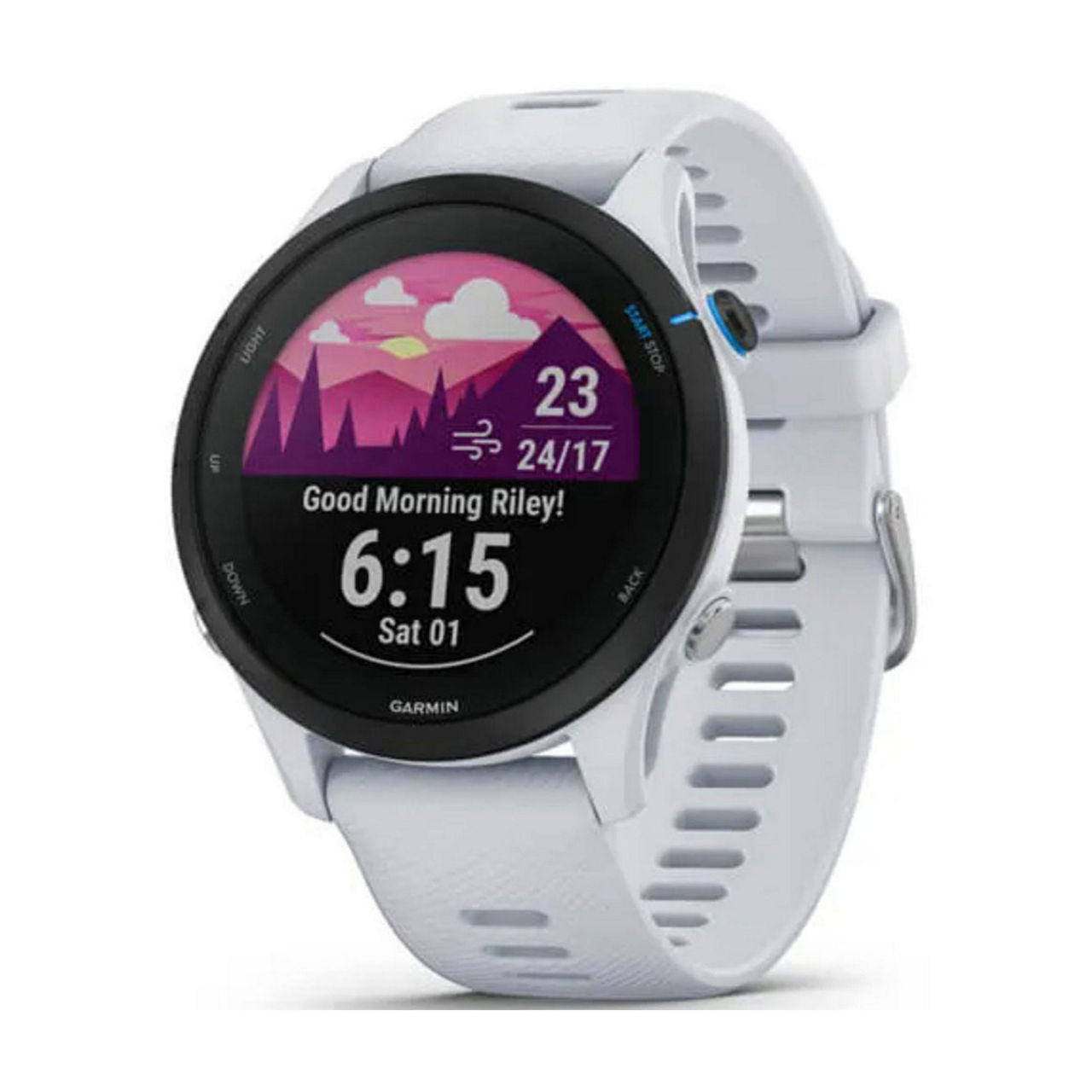 Forerunner 255 Music GPS Running Watch Forerunner 255 Music GPS Running Watch