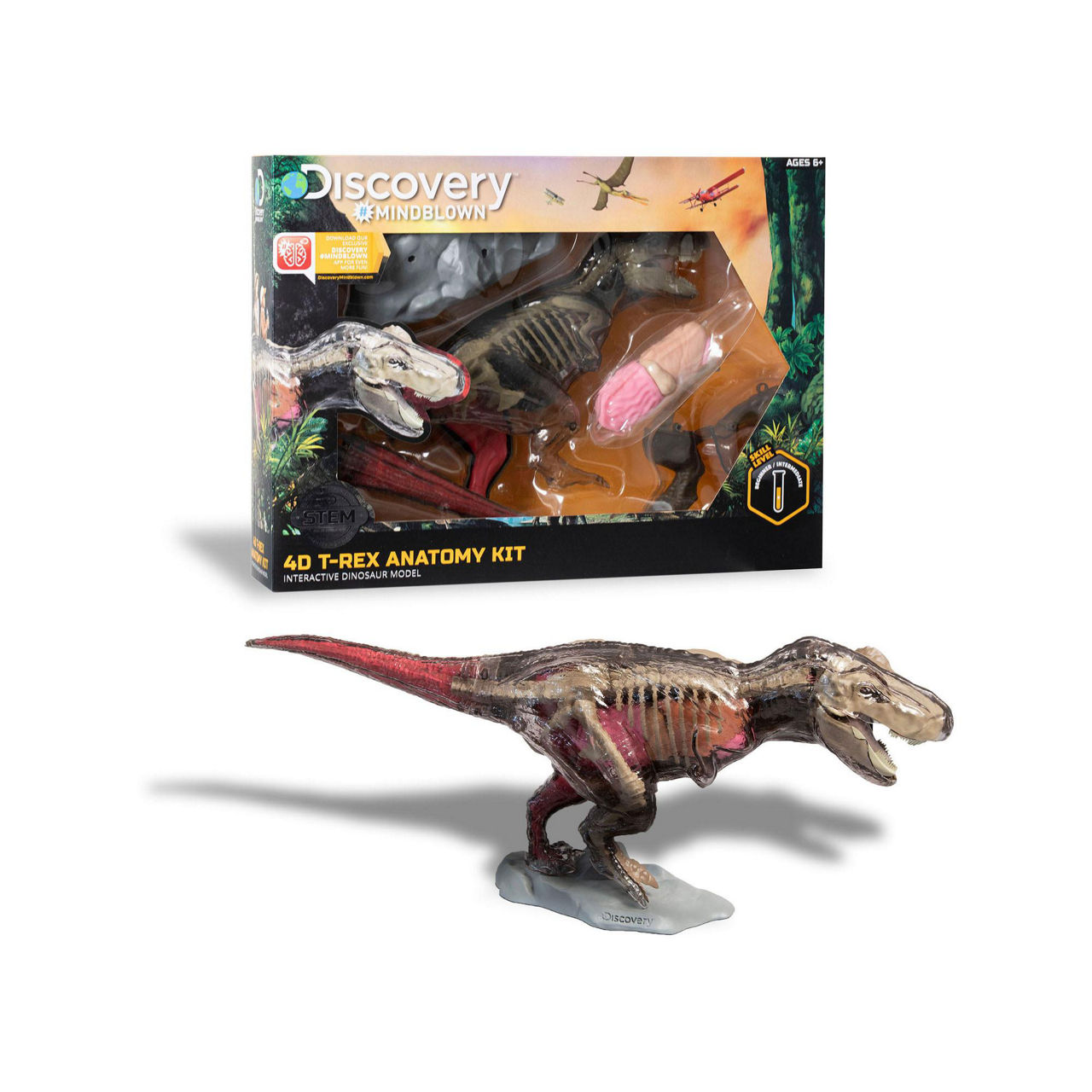 Discovery 4D T-Rex Anatomy Kit Discovery 4D T-Rex Anatomy Kit