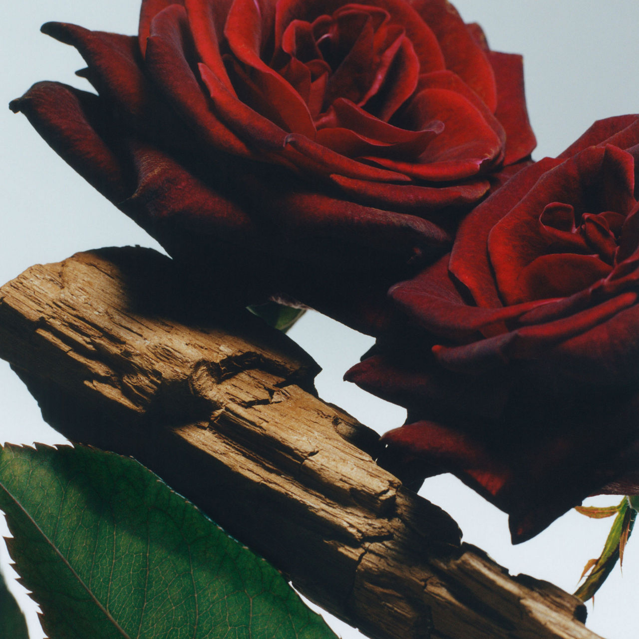 Velvet Rose & Oud Cologne Intense Classic Candle Velvet Rose & Oud Cologne Intense Classic Candle