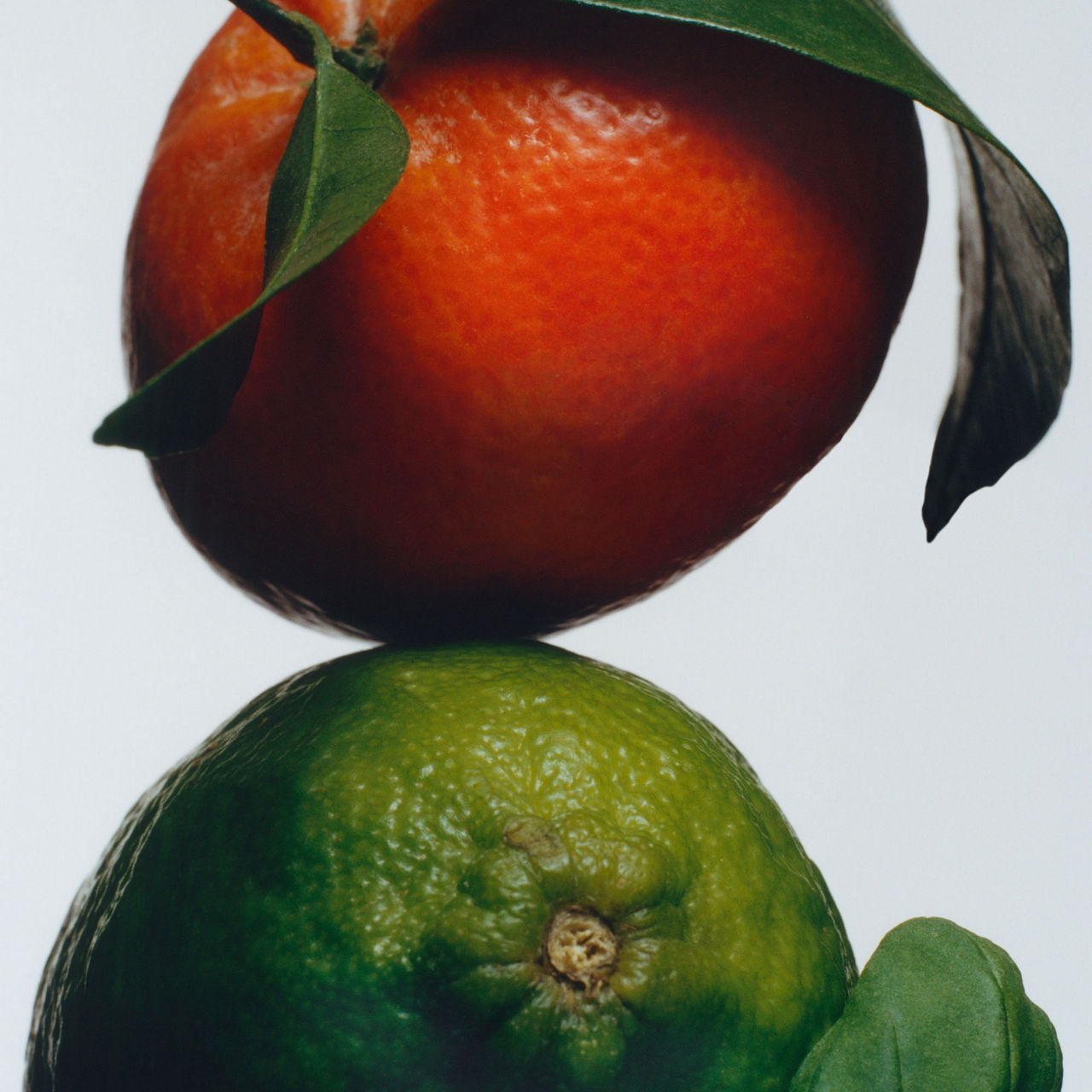 Lime Basil & Mandarin Soap Lime Basil & Mandarin Soap