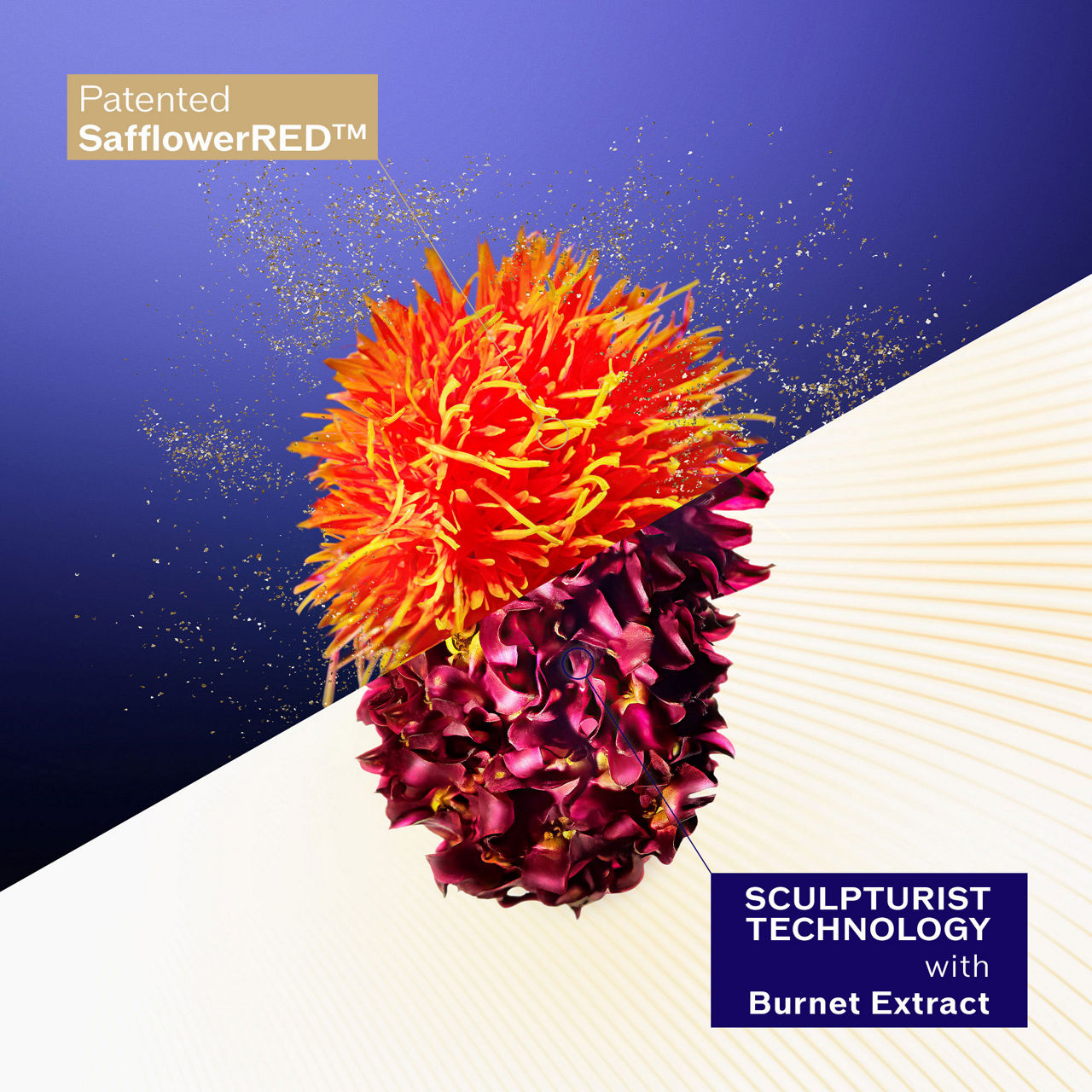 Concentrated Supreme Cream Refill Concentrated Supreme Cream Refill