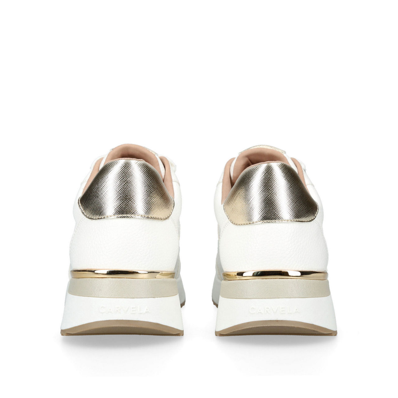 Fleet Trainers Fleet Trainers